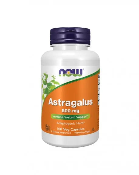 Astragalus 500 mg 100 Caps Now - Viva Saudável