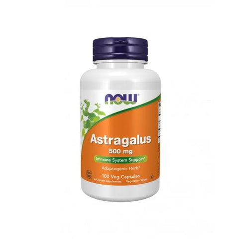Astragalus 500 mg 100 Caps Now - Viva Saudável