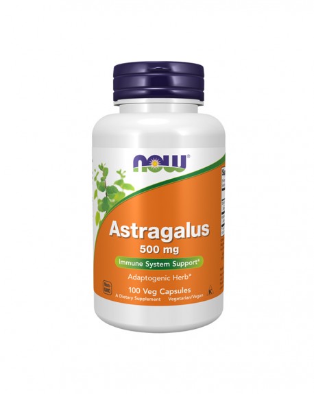 Astragalus 500 mg 100 Caps Now NOW