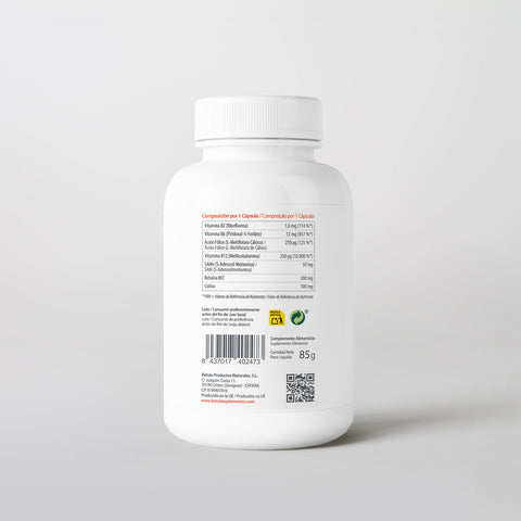Metil-Cist 100 Caps Bétula — verso com tabela nutricional e ingredientes
