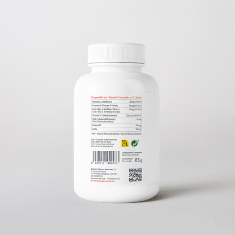 Metil-Cist 100 Caps Bétula — verso com tabela nutricional e ingredientes