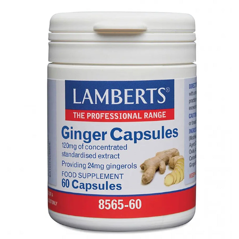 Ginger 120 mg 60 Caps Lamberts - Viva Saudável