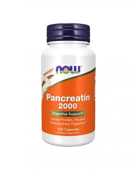 Pancreatin 2000 100 Caps Now - Viva Saudável