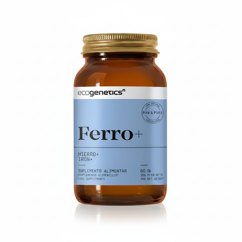 Imagem 1 — Hero Shot Premium