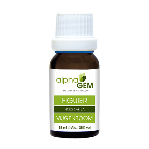 Figueira macerado de gemas bio Alphagem 15 ml – Ficus carica