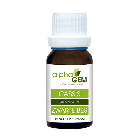 Groselheira Negra macerado de gemas bio Alphagem 15 ml – Ribes nigrum
