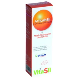 Articulasil +MSM Gel 100ml Vitasil Vitasil