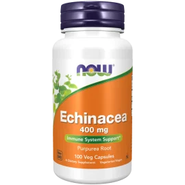 Echinacea Root 400 mg 100 Caps Now NOW