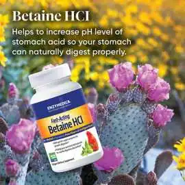 Betaine HCl vegan 120 Caps Enzymedica enzymedica