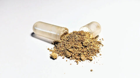 Ashwagandha: 5 Benefícios Surpreendentes para Reduzir stress - Viva Saudável
