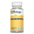 Clorofila Chlorophyll 100 mg 90 Comprimidos Solaray – Viva Saudável