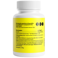 Colina 600mg 60 Cápsulas Zeinpharma – verso da embalagem