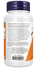 Lactobacillus acidophilus 2 mil milhões UFC NOW Foods – cápsulas vegetais – imagem 3