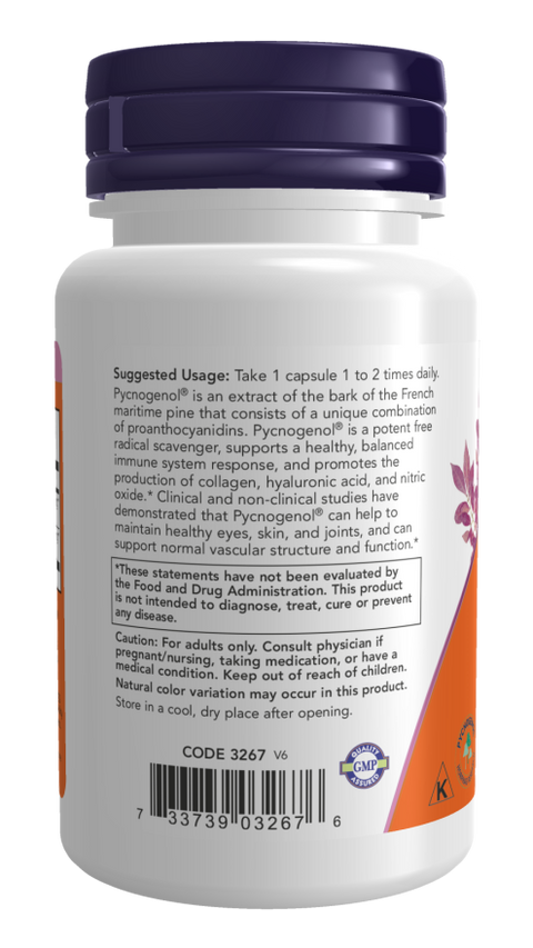 Pycnogenol 100 mg NOW Foods – 60 cápsulas vegetais – imagem 3