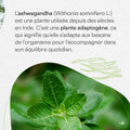 Ashwagandha 5000 Bio Be-Life, imagem de apresentação do produto (3 de 5)