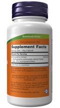 Extrato de andrographis 400 mg NOW Foods – 90 cápsulas vegetais – imagem 2