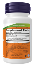 Ashwagandha 450 mg NOW Foods – 30 cápsulas vegetais – imagem 2