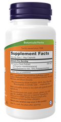Extrato de astrágalo 500 mg NOW Foods – 90 cápsulas vegetais – imagem 2