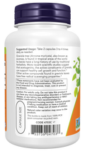 Graviola 500 mg NOW Foods – 100 cápsulas vegetais – imagem 3