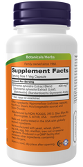 Gymnema sylvestre 400 mg NOW Foods – 90 cápsulas vegetais – imagem 2