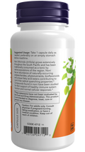 Noni 450 mg Morinda citrifolia NOW Foods – 90 cápsulas vegetais – imagem 3