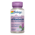 Astrágalo 200 mg 30 Cápsulas Vegetais Solaray – Viva Saudável