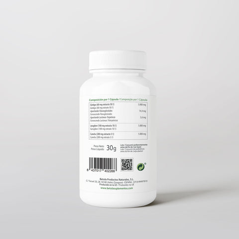 Ginkgozin 3.000 60 Caps Bétula — verso com tabela nutricional e ingredientes