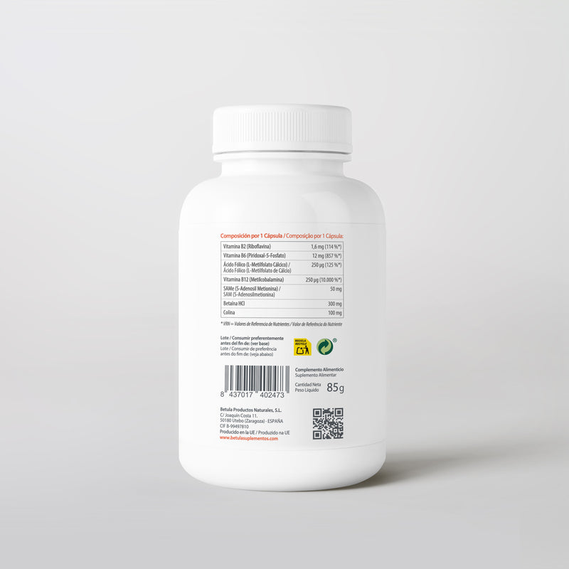 Metil-Cist 100 Caps Bétula — verso com tabela nutricional e ingredientes