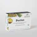 Pectus Bétula, embalagem de 30 cápsulas vegetais com extrato de tomilho, funcho, verbasco e sabugueiro