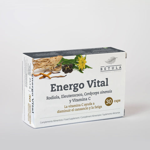 Energo Vital Bétula, frasco de 30 cápsulas com rhodiola rosea, eleuterococo, cordyceps e vitamina C
