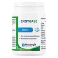 Ergybase Nutergia 60 Caps - Viva Saudável