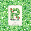 Sabonete Refrescante Menta e Framboesa Ach Brito 100GR Ach Brito