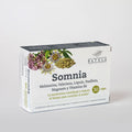 Somnia Bétula, embalagem de 30 cápsulas vegetais com melatonina, valeriana, lúpulo e magnésio