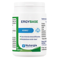 ERGYBASE Nutergia 60 cápsulas, imagem principal