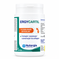 ERGYCARTIL Nutergia, produto original