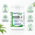 ERGYPHILUS Confort Nutergia – embalagem com os destaques da fórmula