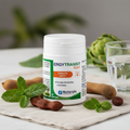 ErgyTransit Flash – Lifestyle