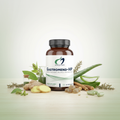 Gastromend-HP Conceptual