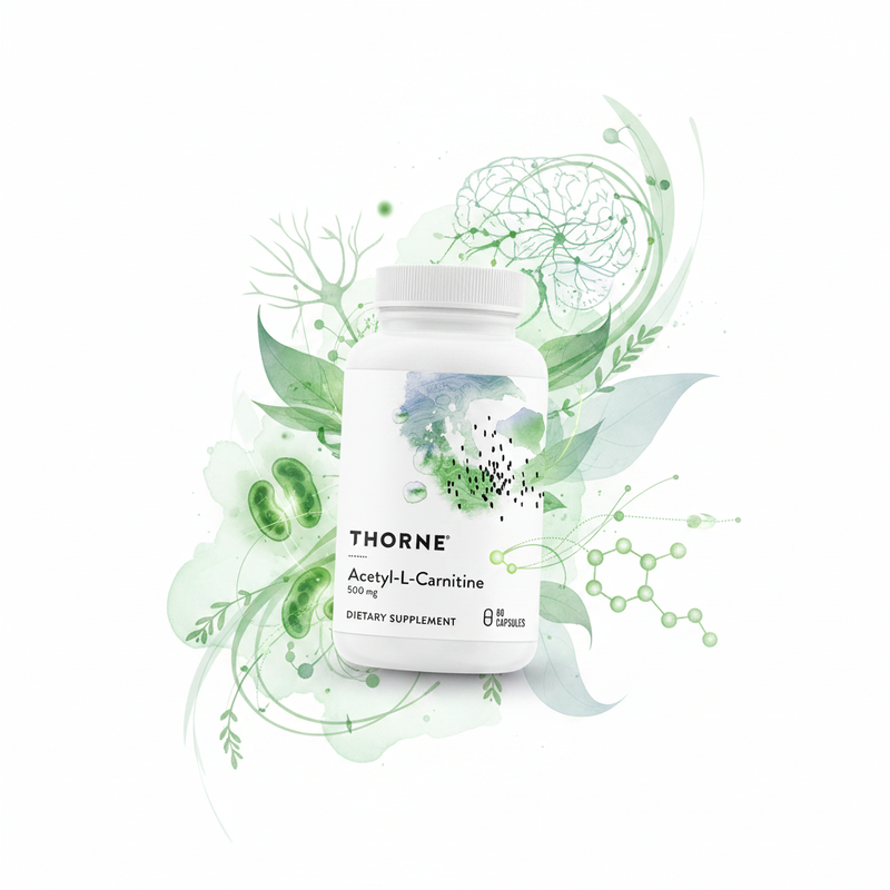 Acetil-L-Carnitina Thorne – ilustração dos ingredientes