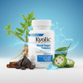 Kyolic Bood Sugar Balance 112 100 Caps - Viva Saudável
