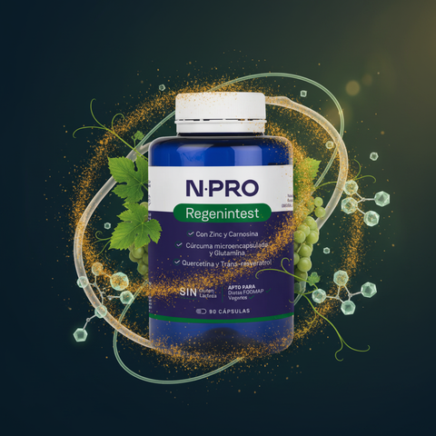 N·PRO Regenintest Conceptual
