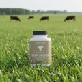 Origem – Beef Spleen Nordic Kings