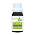 Alecrim macerado de gemas bio Alphagem 15 ml – Rosmarinus officinalis