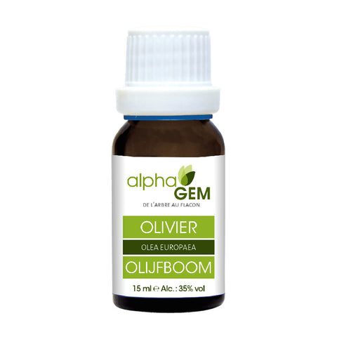 Oliveira macerado de gemas bio Alphagem 15 ml – Olea europaea