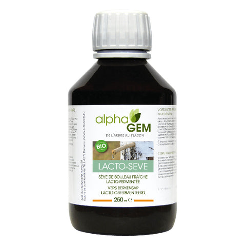 Lacto-Seiva Alphagem 250 ml – seiva de bétula fresca lacto-fermentada com kombucha