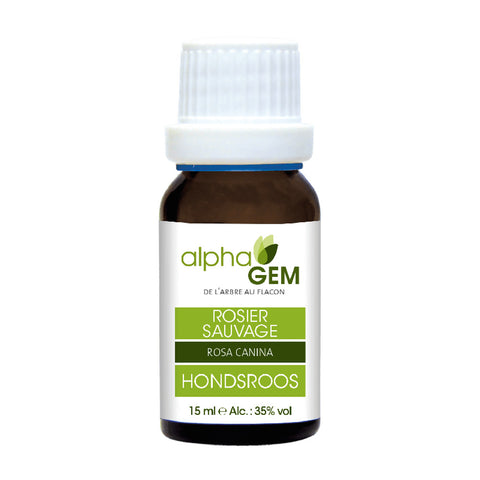 Roseira Brava macerado de gemas bio Alphagem 15 ml – Rosa canina