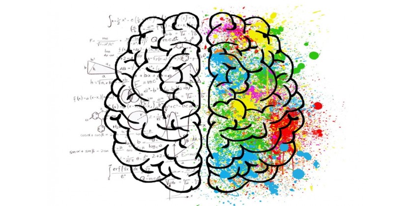 A importancia do DHA para el cerebro