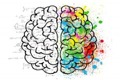 A importancia do DHA para el cerebro