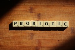 Uma rápida introdução aos probióticos e ao microbioma
